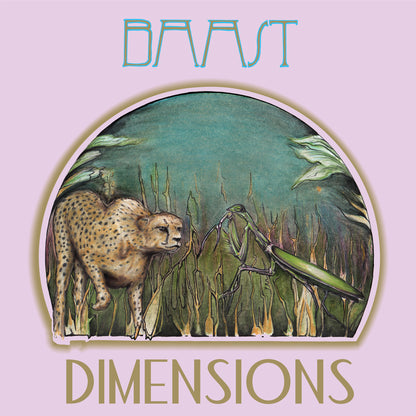 BAAST "Dimensions" LP