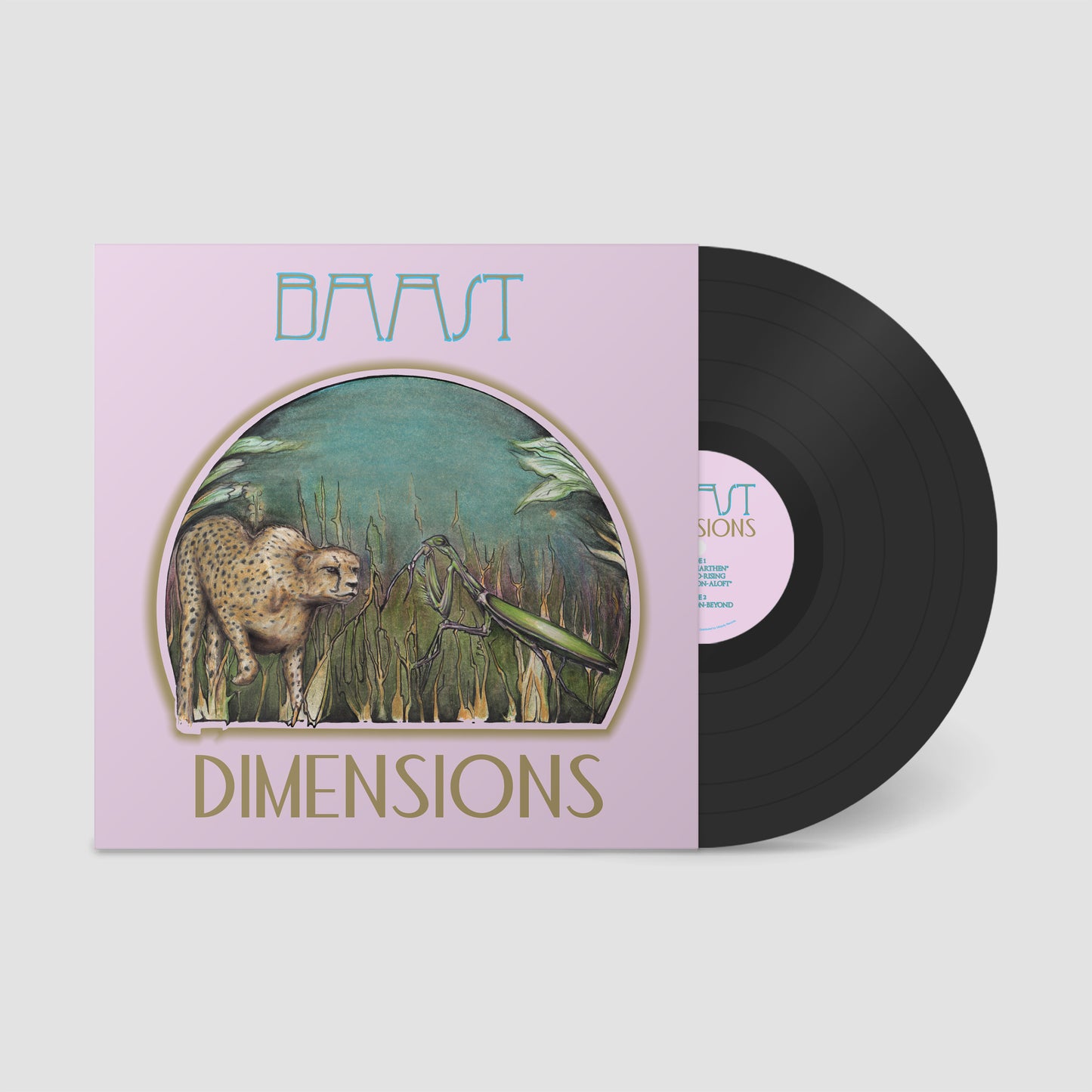 BAAST "Dimensions" LP