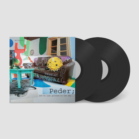 Peder "And He Just Pointed To The Sky" Double LP