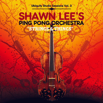 Shawn Lee's Ping Pong Orchestra "Strings And Things" Double LP
